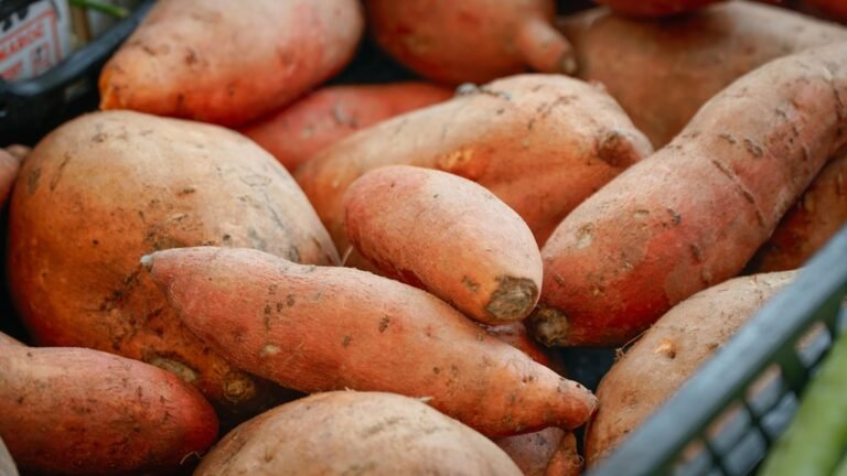 Calories in Sweet Potato vs Regular Potato