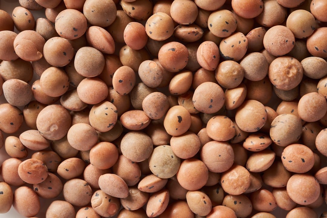 Protein Content in Lentils vs Chickpeas